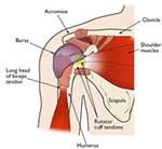 5-star review for shoulder pain relief